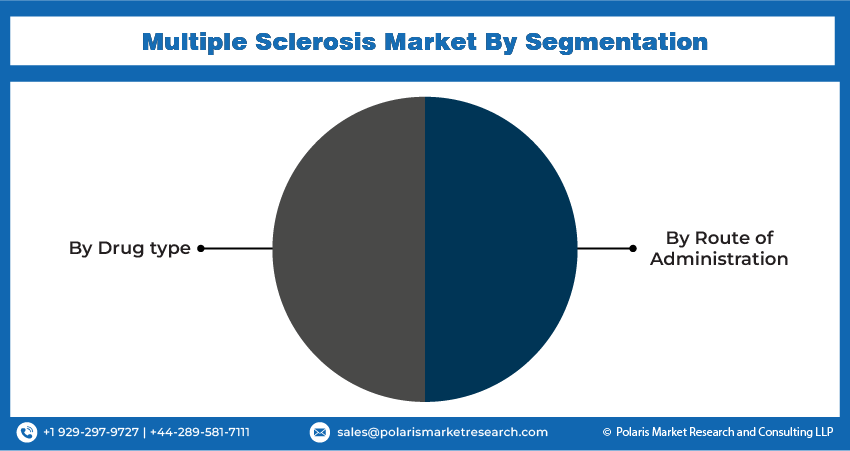 Multiple Sclerosis Seg